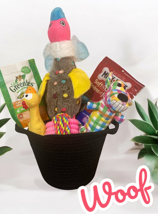 Ultimate Chew & Play Dog Gift Basket: Toys & Treats