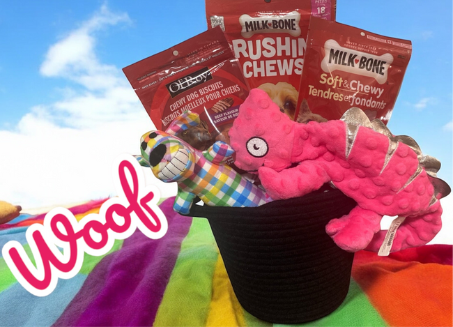 Title: “Pretty in Pink Dog Gift Basket: Toys & Chewy Treats”