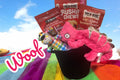Title: “Pretty in Pink Dog Gift Basket: Toys & Chewy Treats”